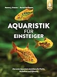 Aquaristik für Einsteiger: Das erste Aquarium einrichten für Fische, Wirbellose und Pflanzen