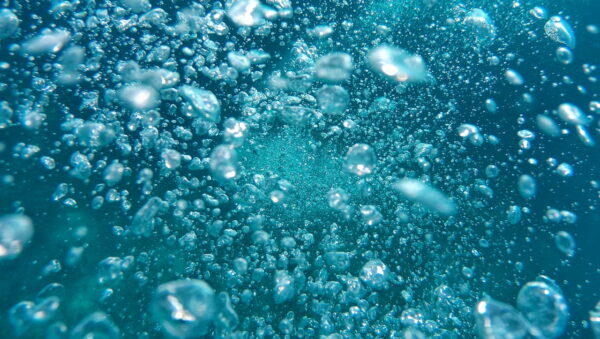 Sprudelstein im Aquarium Luftblasen